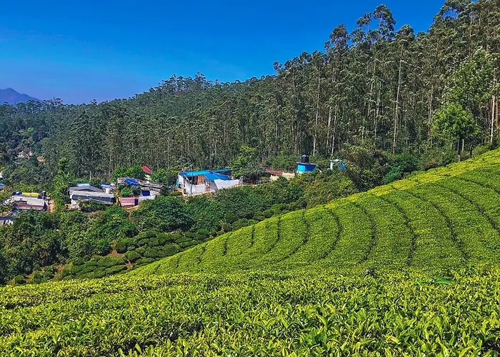 Munnar Valley View